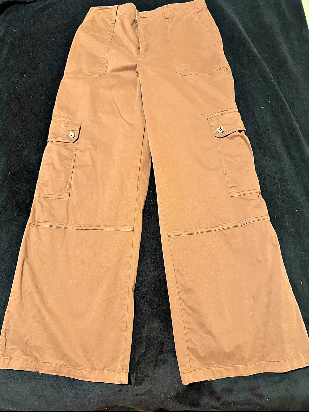 BP. Wide Leg Cargo Pants in Copper Brown Size 12